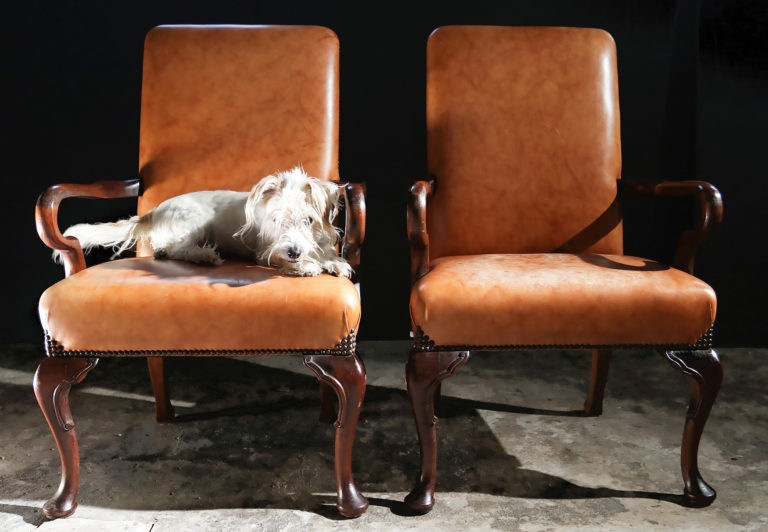 George I style Armstoelen Antilopenleer
