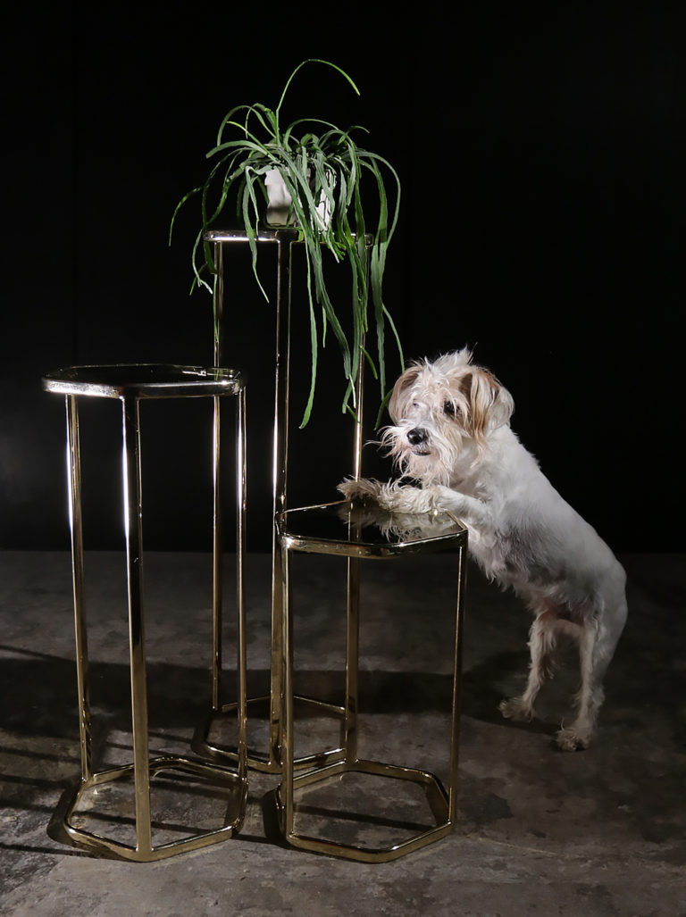 Hollywood Regency style bijzettafels verguld zeshoek