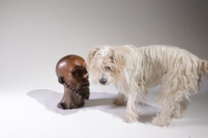 Levensgroot gesneden houten sculptuur mannenhoofd circa 1700 – foto 1