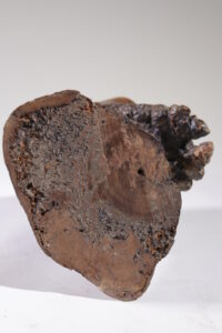 Levensgroot gesneden houten sculptuur mannenhoofd circa 1700 – foto 20