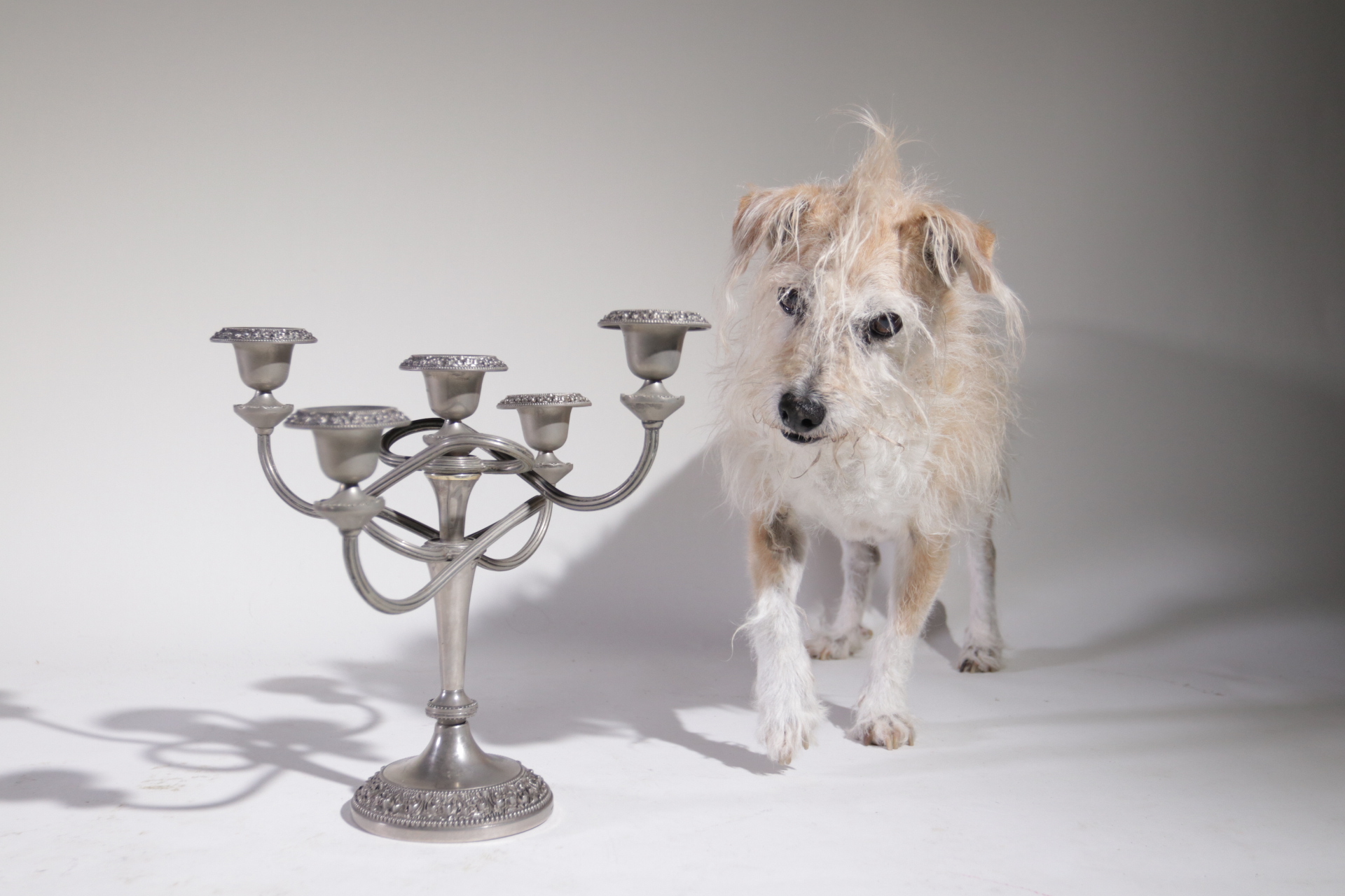 Engelse art nouveau verzilverde kandelaar met vijf armen – foto 1