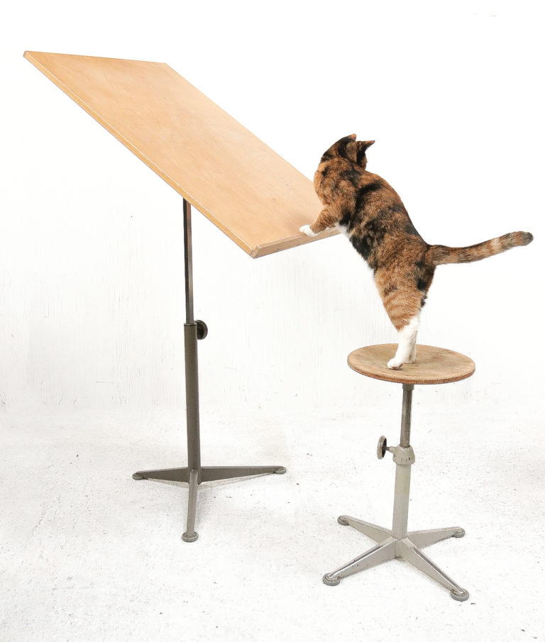 Very Rare Reiger Drafting table Friso Kramer Ahrend de Cirkel 1963