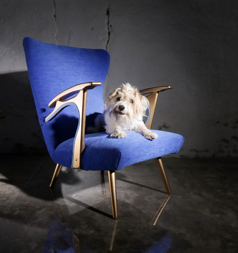 Royal Blue & Gouden Fauteuil jaren 50