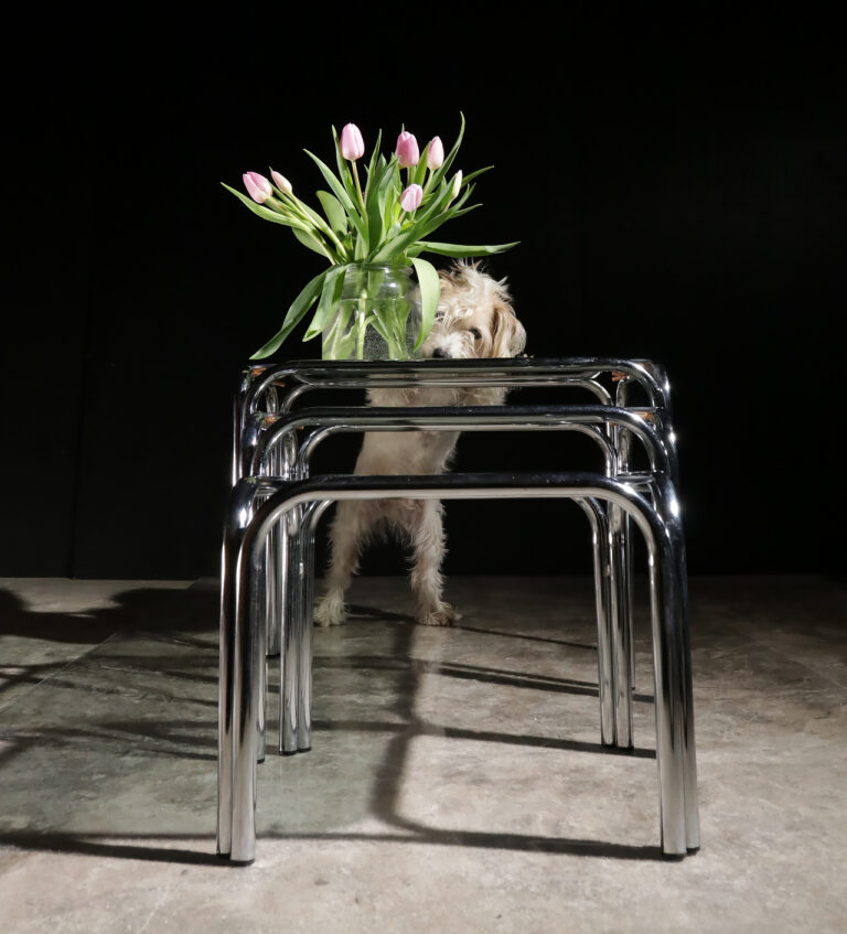Bijzettafels Nesttafels Buisframe Chroom Rookglas jaren 60