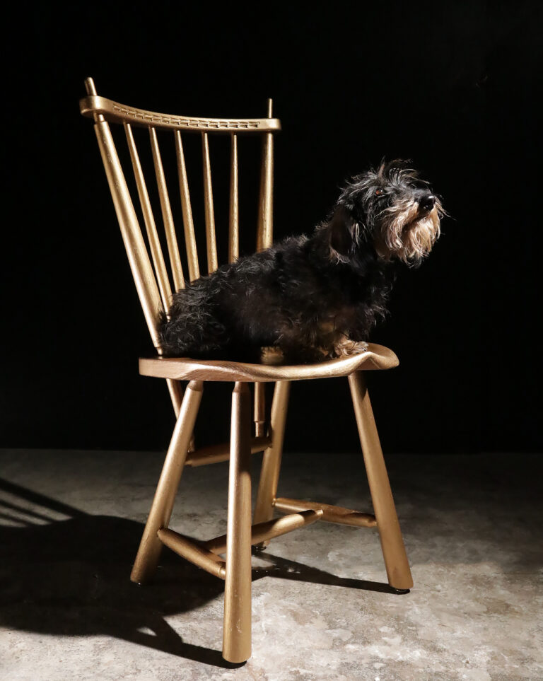 Gouden Vintage Spijlenstoelen jaren 60