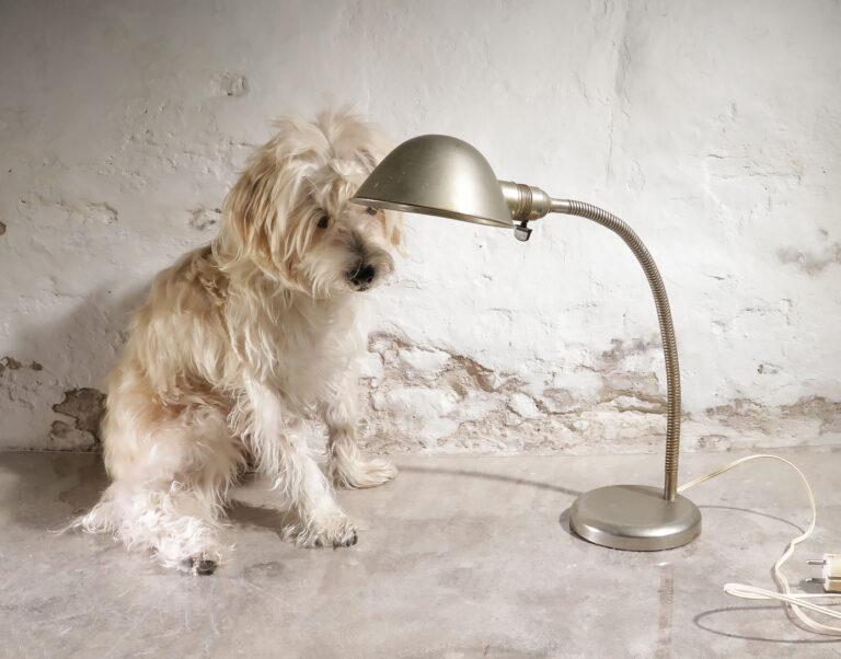 Midgard D.R.G.M. tafel- of wandlamp jaren 30