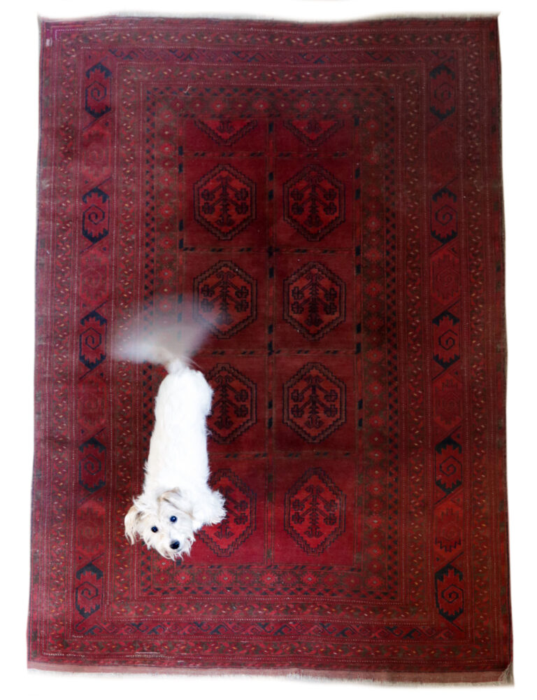 Vintage Design  Perzisch tapijt 220 x 147 cm