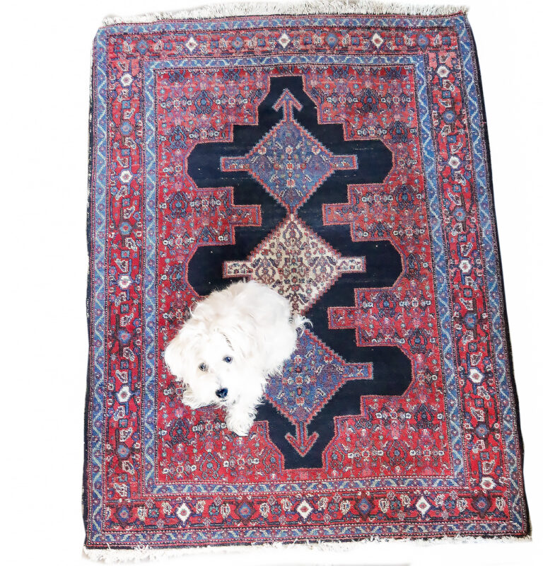 Vintage Design Perzisch tapijt 165 x 120 cm