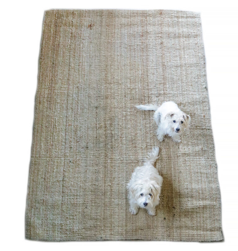 2x Jute tapijt 225 x 158cm