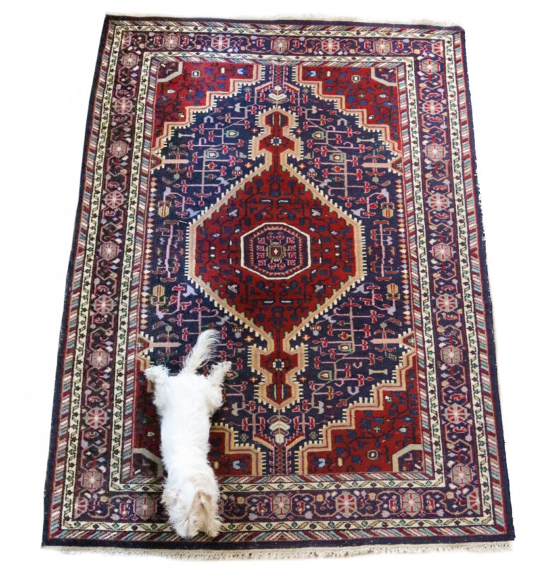 Vintage Design Perzisch tapijt 245 x 175 cm
