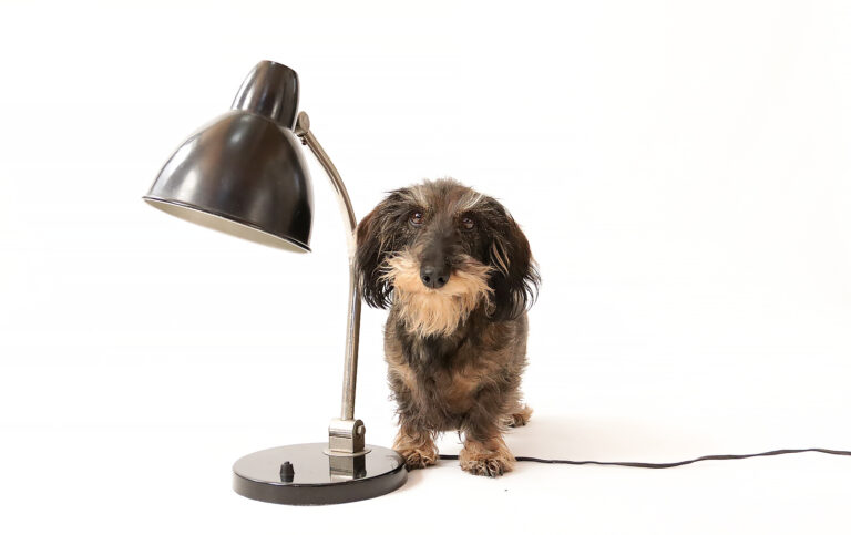 Vintage Design Bureaulamp Tafellamp Zwart Bauhaus stijl