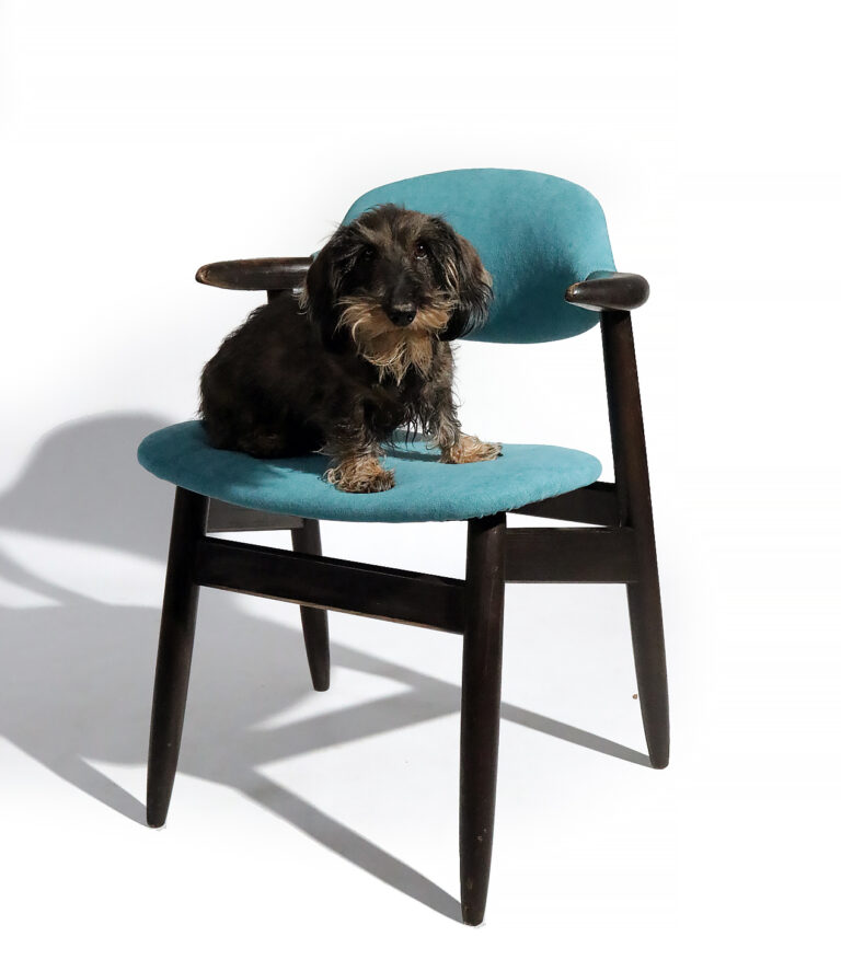 Vintage Design Koehoorn stoel Tijsseling Nijkerk Turquoise