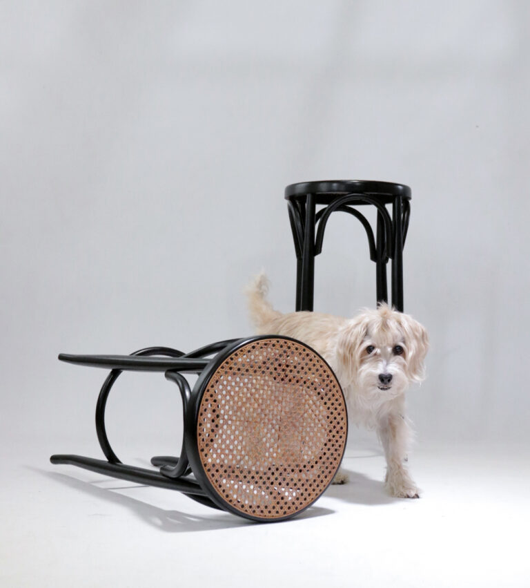 Thonet stijl Barkrukken Zwart en Webbing
