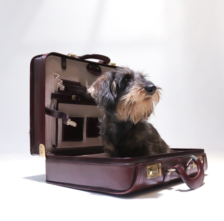 Hollywood Regency Piloten koffer attaché