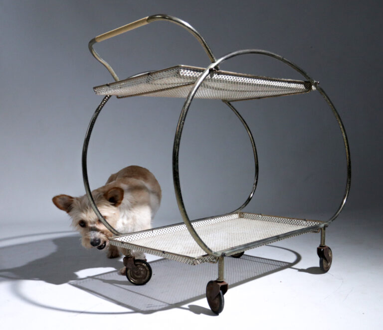 Mid-Century Design Matieu Mategot stijl Theewagen Trolley jaren 50