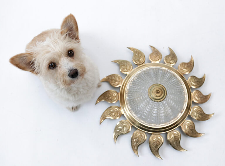 Mid-Century Spanish Gilt Iron Sunburst Wall Light Flush Mount Ceiling Light