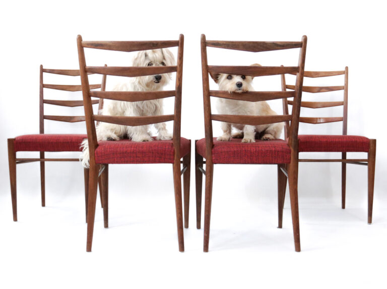 4 Cees Braakman Ladderstoelen Pastoe jaren 60