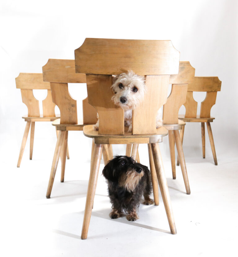 Set van 6 Brutalist Licht Houten Stoelen jaren 60