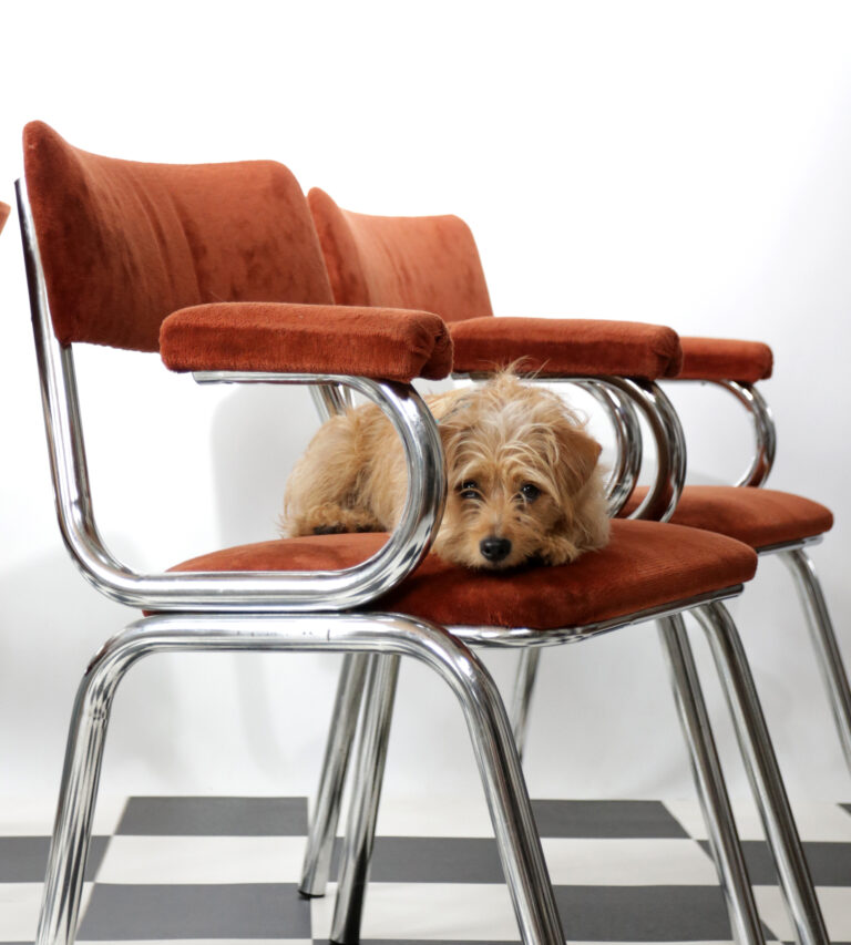 4 Vintage Design Buisframe Eettafelstoelen Chroom jaren 70
