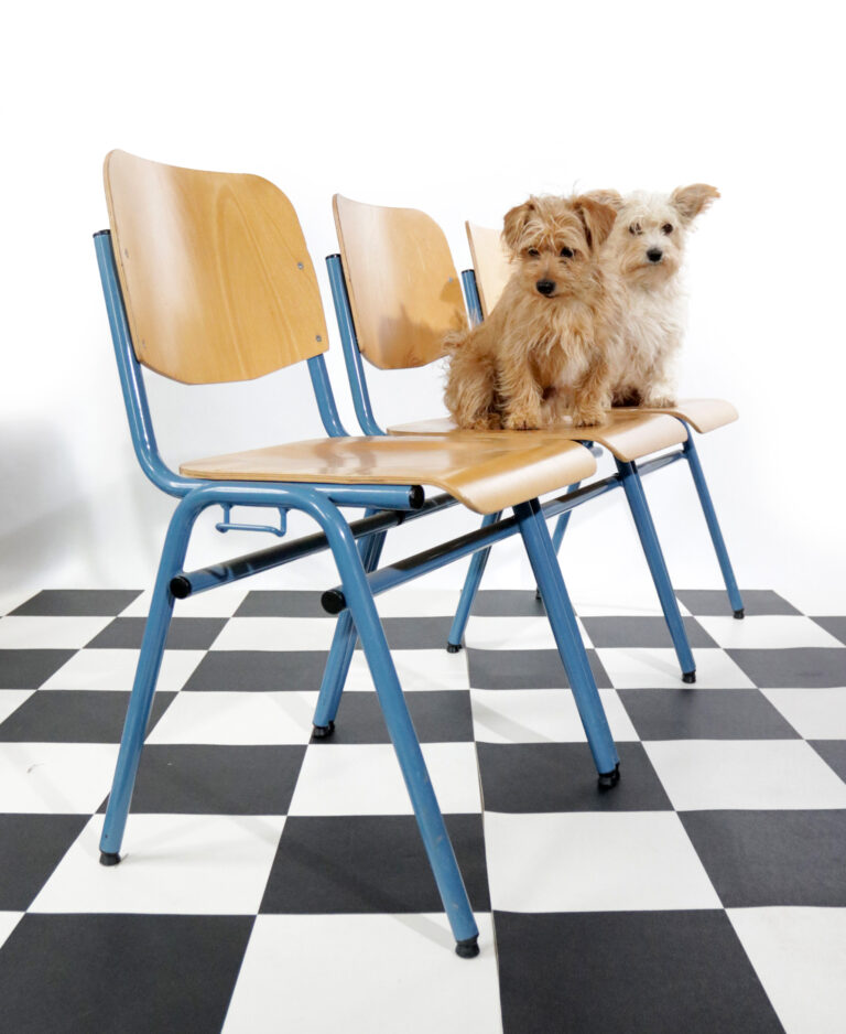 Industrieel Vintage Schoolstoelen Blauw Frame Adam Stegner ASS Schulmöbel