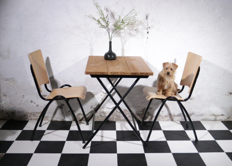 Vintage Stoelen Zwarte V-vorm frame