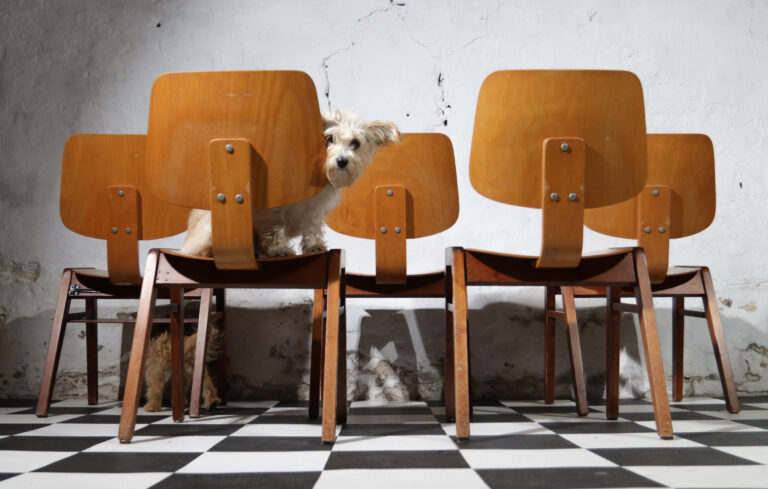 75 Rare Mid-century Design Stacking “Church” chairs Wood Eames style ’60
