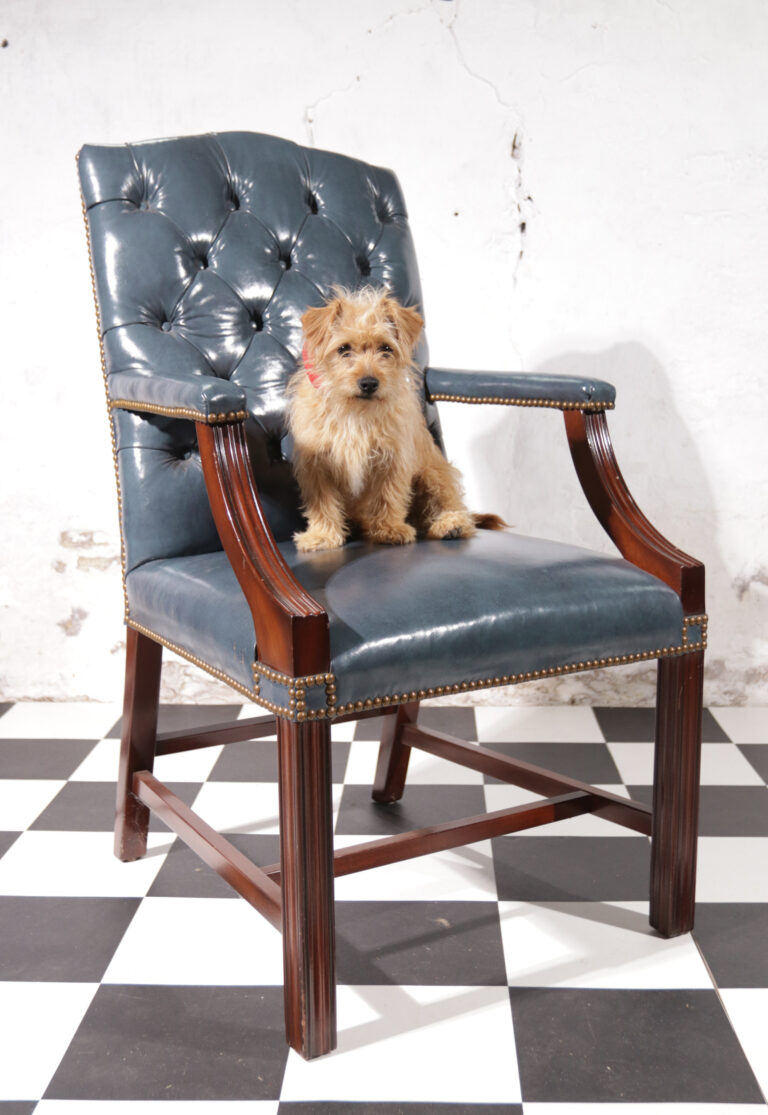 Vintage Chesterfield stoel Jeans blauw leer