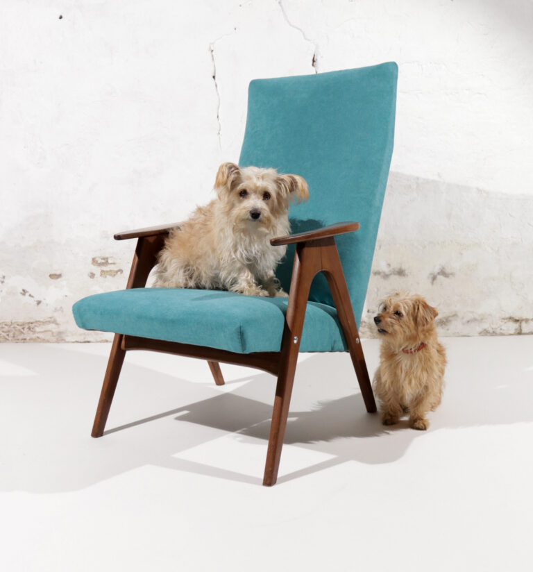 Vintage Design Fauteuil Teakhout Turquoise jaren 60