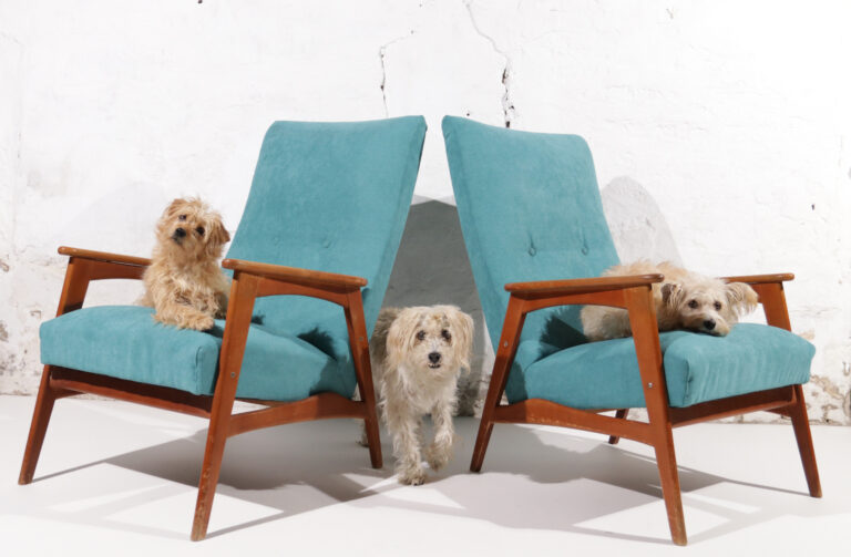 2 Vintage Design Fauteuils Turquoise Beuken jaren 60