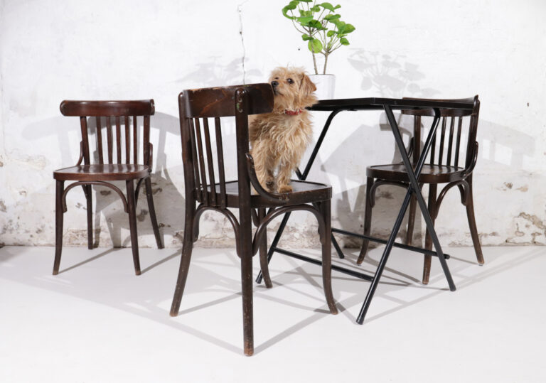 Thonet stijl caféstoelen armstoelen hout