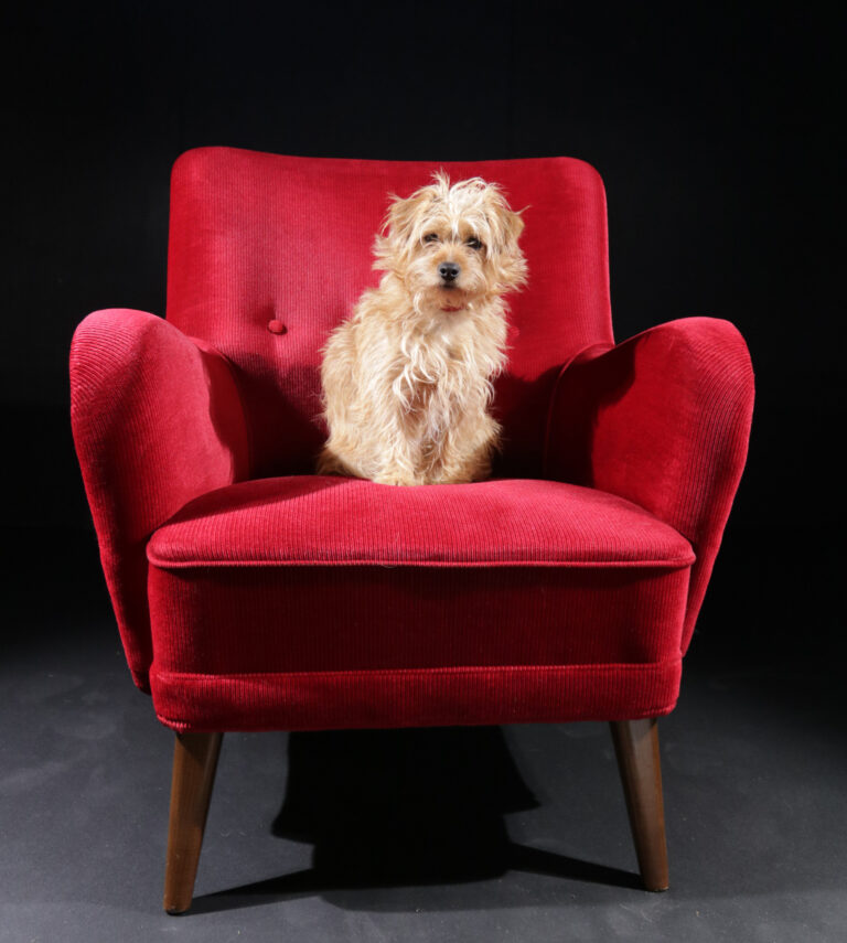 Vintage Design Fauteuil Spakman Rode Ribstof jaren 60