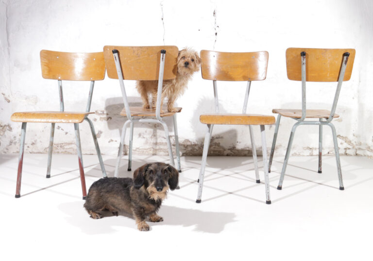 Industrieel Design Schoolstoelen ruig en sleets