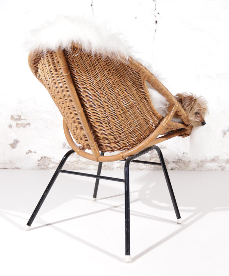 1960s Dutch Wicker Bucket / Basket Chair with Icelandic sheepskin