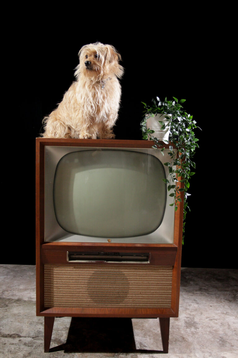 Vintage Philips jaren 1959 TV op pootjes 21CX211A/03