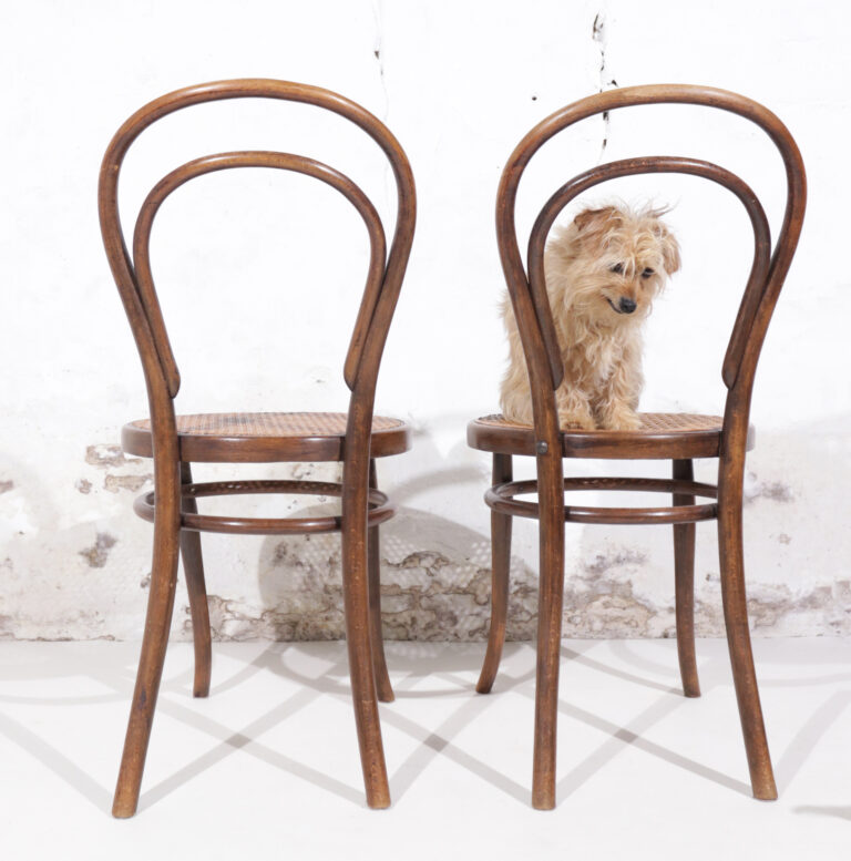 2 Antieke Model No. 14 stoelen origineel Thonet 19e eeuw