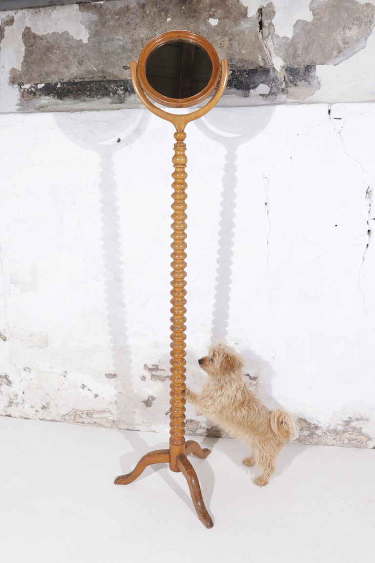 English Victorian Fruitwood Floormirror