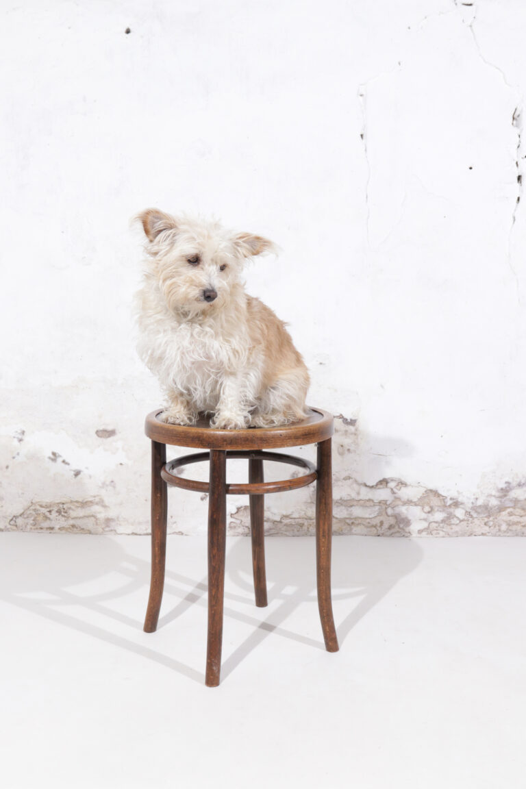 Thonet Stool, circa 1920