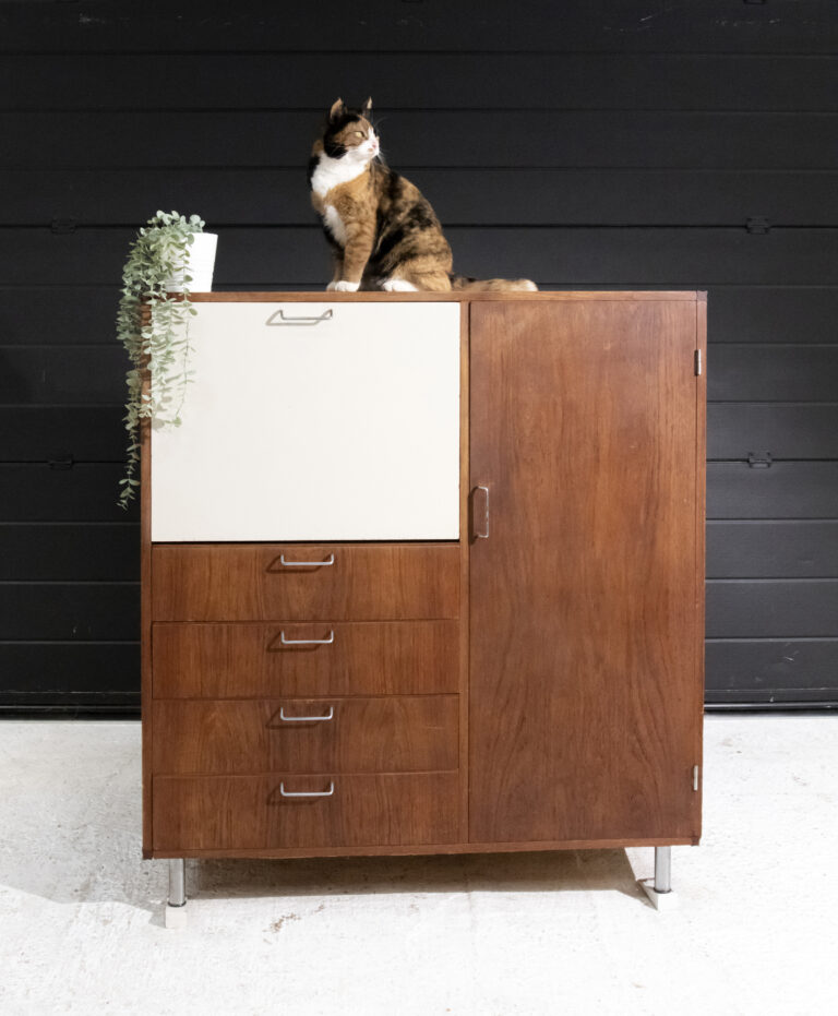 Mid century Pastoe Cees Braakman Made to measure Teak Cabinet