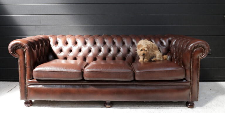 3-zits Springvale Leather Chesterfield bank