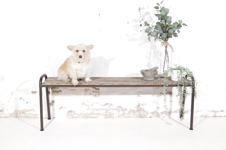 Industrieel Design Lattenbanken jaren 60