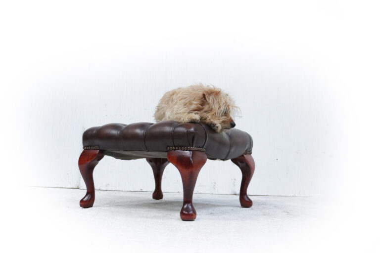 Chesterfield Springvale Poef of Voetenbank