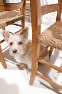Scandinavische grenen stoelen zeegras zitting jaren 60 – foto 5