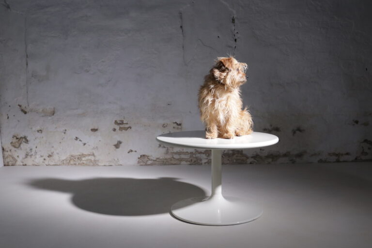 Space Age Design ronde tulp voet salontafel