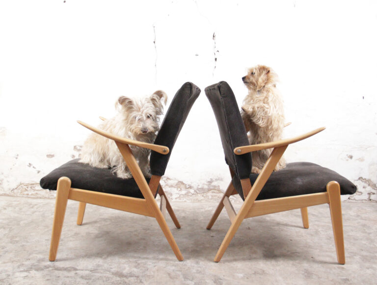 2 Super leuke Vintage Fauteuiltjes jaren 50