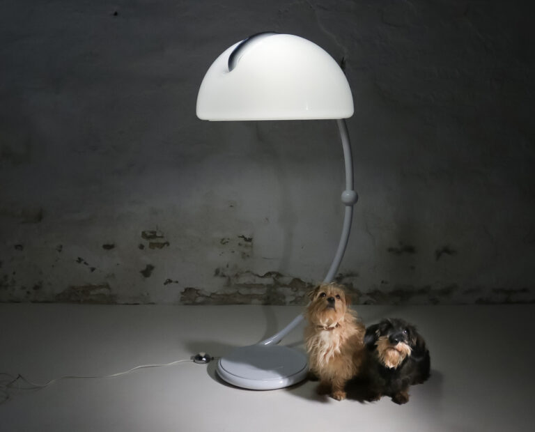 Mid-century Design Serpente lamp Martinelli Luce, Elio MARTINELLI – 1965s