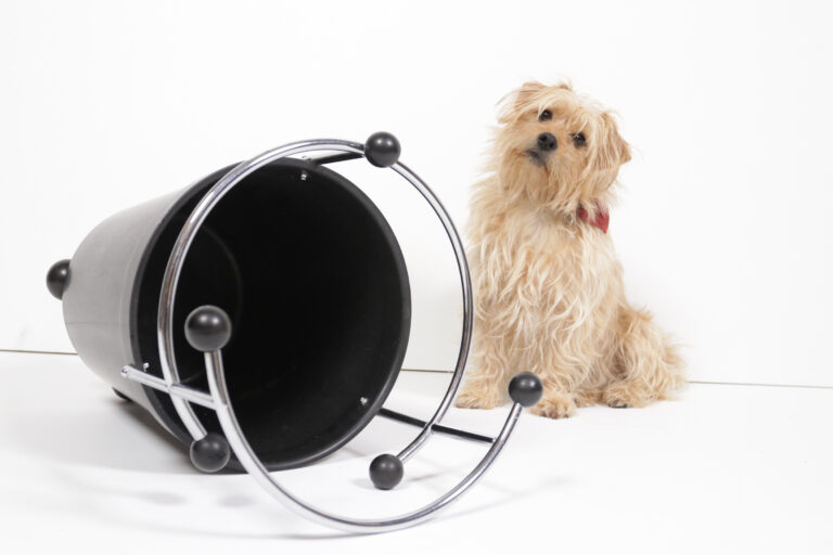1930s Extreme Rare Art Deco Black Bakelite and Chrome Umbrella Stand