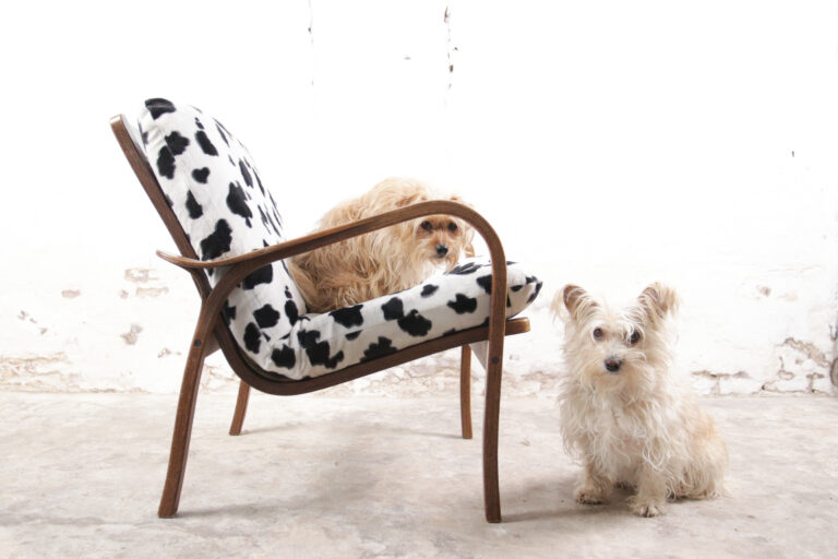 Vintage Design Fauteuil Koeienvacht jaren 60