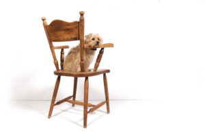 Brutalist eiken haardstoel wabi-sabi fauteuil – foto 10