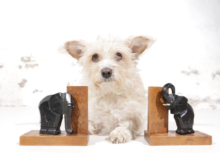 Art Deco Pair of Hand-Carved Wooden Elephant Bookends