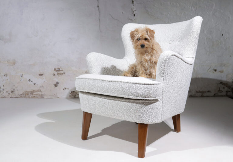Mid-Century Theo Ruth Artifort 1950s Boucle Armchair / Lounge Chair